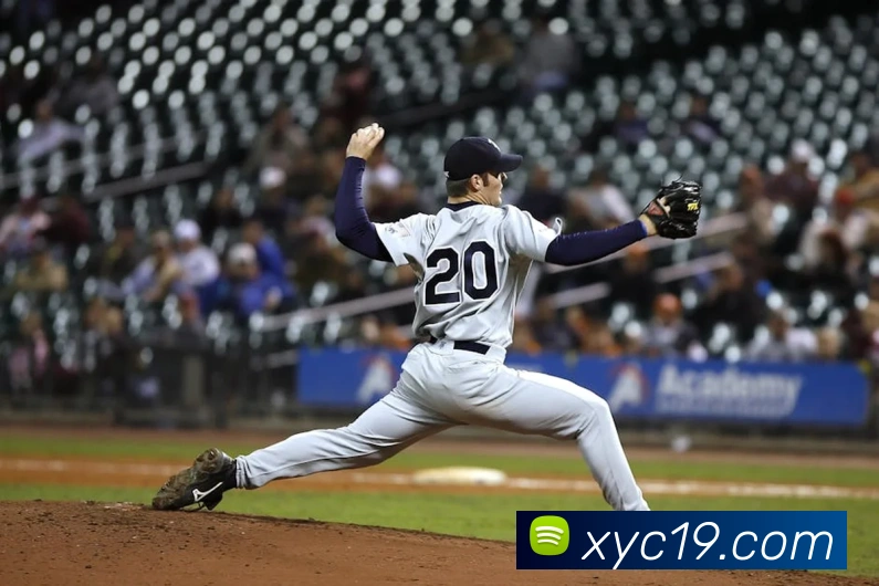 多终端兼容